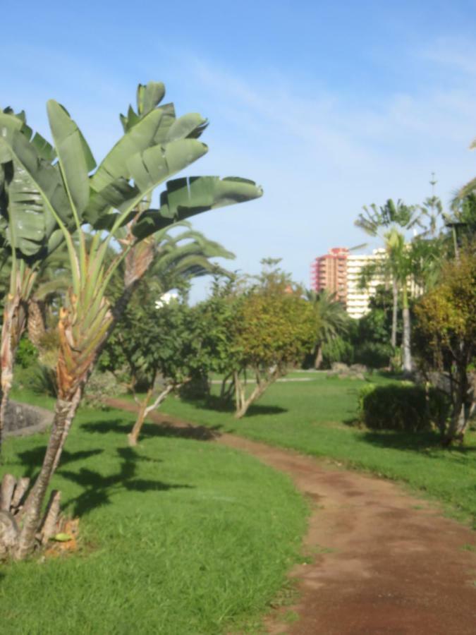 Apartamento Céntrico Loft en el Puerto de la Cruz con Wifi y cerca de la playa Exterior foto