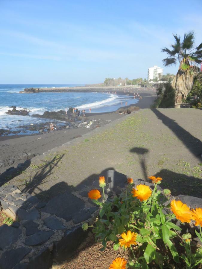 Apartamento Céntrico Loft en el Puerto de la Cruz con Wifi y cerca de la playa Exterior foto